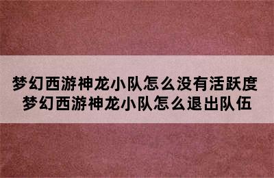 梦幻西游神龙小队怎么没有活跃度 梦幻西游神龙小队怎么退出队伍